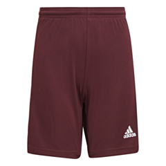 Squadra Shorts - Team Maroon 2/White