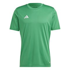 Tabela Jersey - Green/White