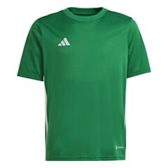 Youth Tabela Jersey - Green/White