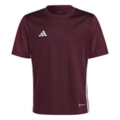 Youth Tabela Jersey - Team Maroon/White